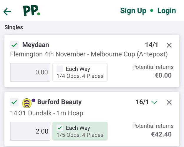 IMG_5253
