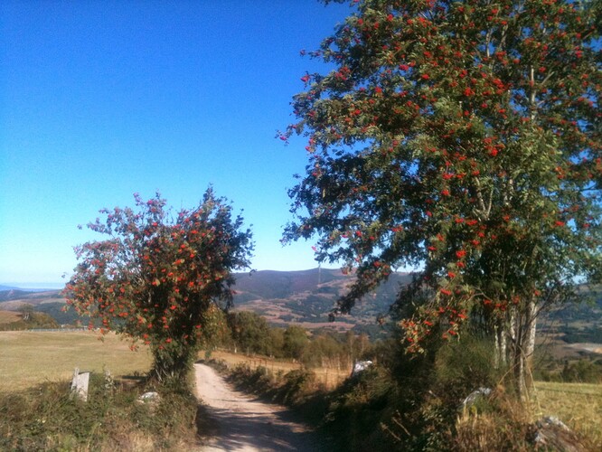 Galicia