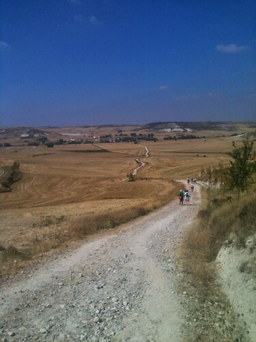 meseta