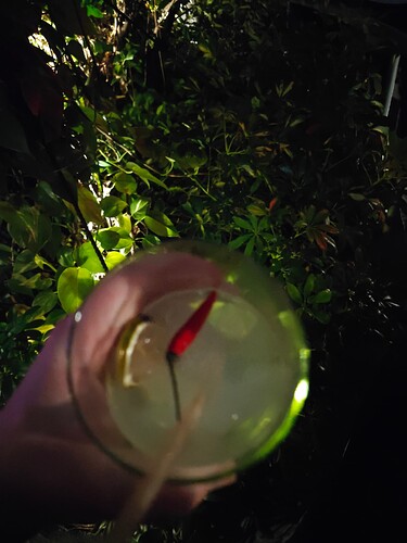 17726814635151467434804093569531