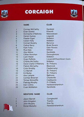 Cork 2 panel u16 national acad 2025