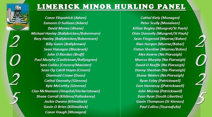 Limerick Minor Hurling Panel 2025