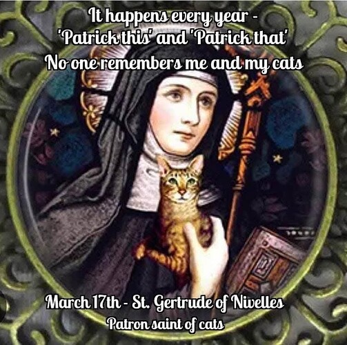 FB_IMG_1742212802709