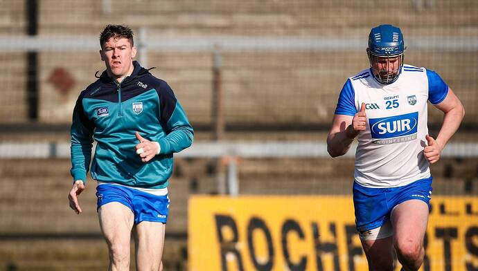 Tadhg de Búrca and Austin Gleeson are among the players who will not be part of the Waterford hurling panel for the 2027 season. Pic: Michael P Ryan/Sportsfile