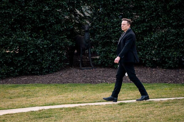 Elon Musk, wearing a black jacket over black pants, walks along a path in a grassy area.